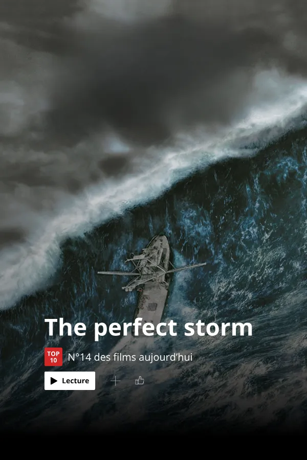 Affiche The Perfect Storm : Naviguer sans chavirer